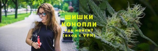 ПСИЛОЦИБИНОВЫЕ ГРИБЫ Гусь-Хрустальный