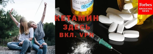 ПСИЛОЦИБИНОВЫЕ ГРИБЫ Гусь-Хрустальный