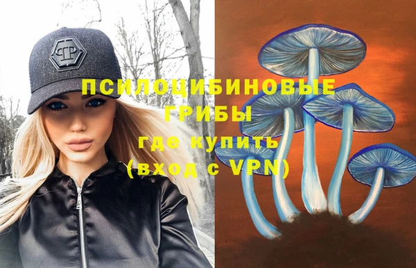 не бодяженный Гусев