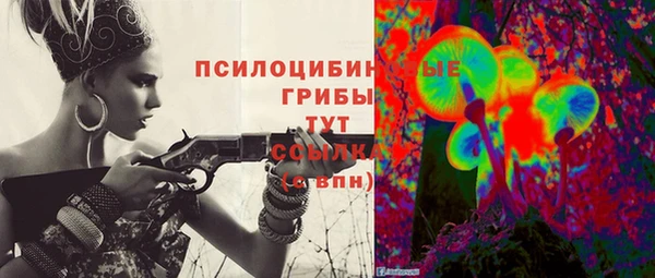 не бодяженный Гусев