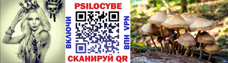 Галлюциногенные грибы ЛСД  Купить где  Чаплыгин 